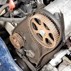 Motorraum eines Peugeot 206 mit freiliegendem Zahnriemen und Zahnrädern, bereit für den Zahnriemenwechsel.