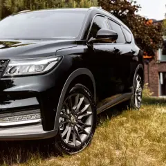 Schwarzer DFSK Fengon 7 SUV im Gras. Hoffentlich keine Probleme mit diesem Modell.