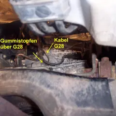 Motorraum eines VW: Gummistopfen über G28 und Kabel G28.