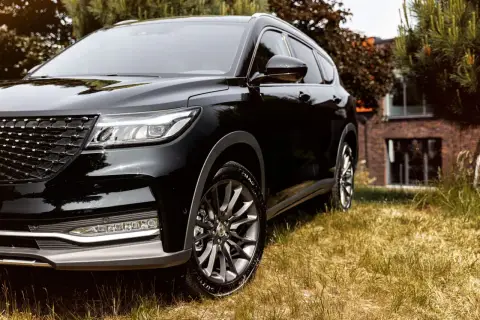 Schwarzer DFSK Fengon 7 SUV im Gras. Hoffentlich keine Probleme mit diesem Modell.