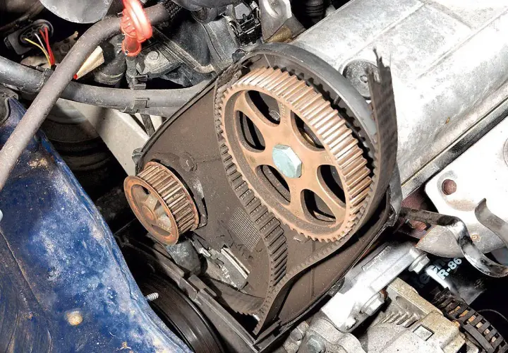 Motorraum eines Peugeot 206 mit freiliegendem Zahnriemen und Zahnrädern, bereit für den Zahnriemenwechsel.