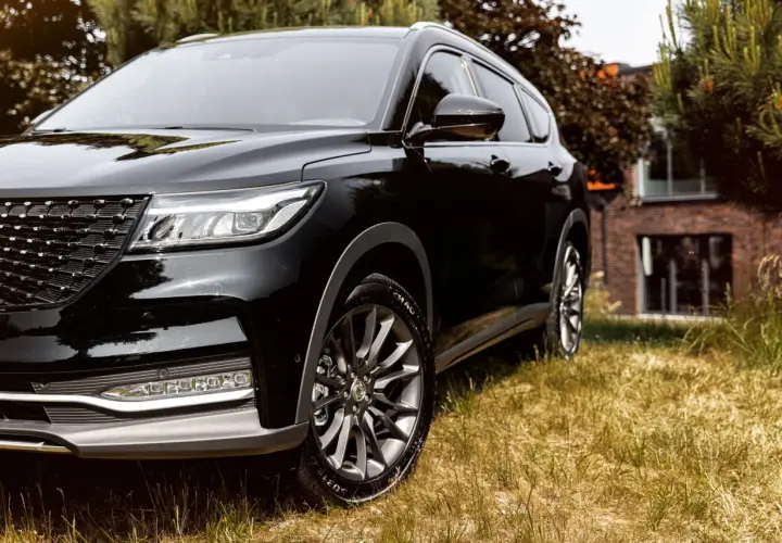 Schwarzer DFSK Fengon 7 SUV im Gras. Hoffentlich keine Probleme mit diesem Modell.