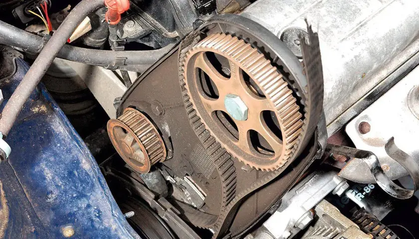 Motorraum eines Peugeot 206 mit freiliegendem Zahnriemen und Zahnrädern, bereit für den Zahnriemenwechsel.
