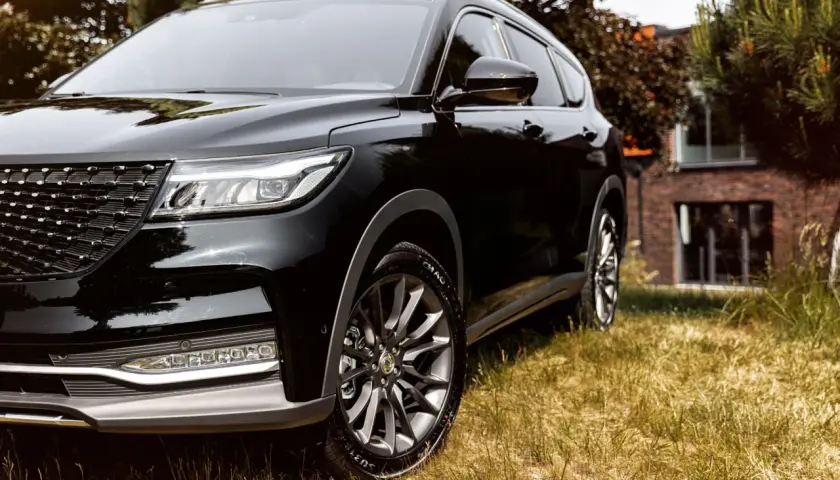Schwarzer DFSK Fengon 7 SUV im Gras. Hoffentlich keine Probleme mit diesem Modell.