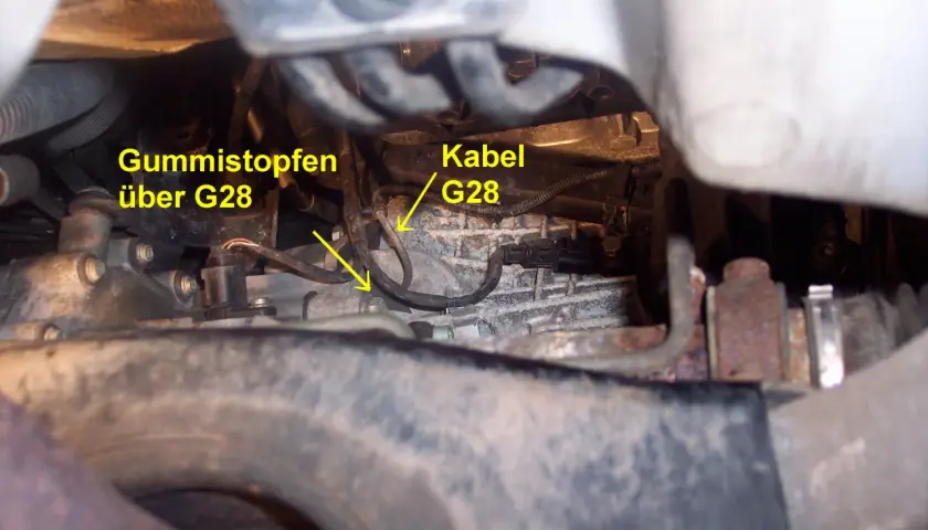 Motorraum eines VW: Gummistopfen über G28 und Kabel G28.
