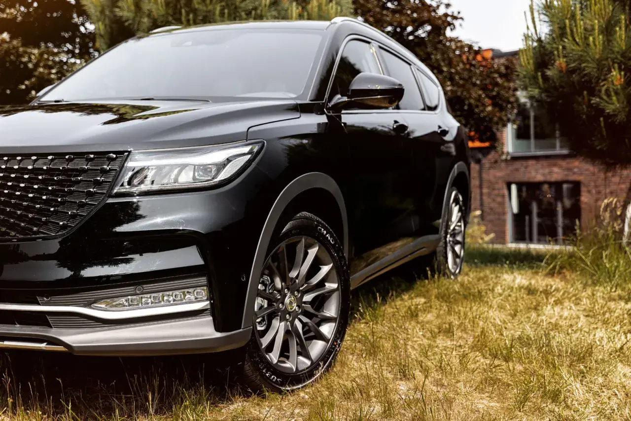 Schwarzer DFSK Fengon 7 SUV im Gras. Hoffentlich keine Probleme mit diesem Modell.