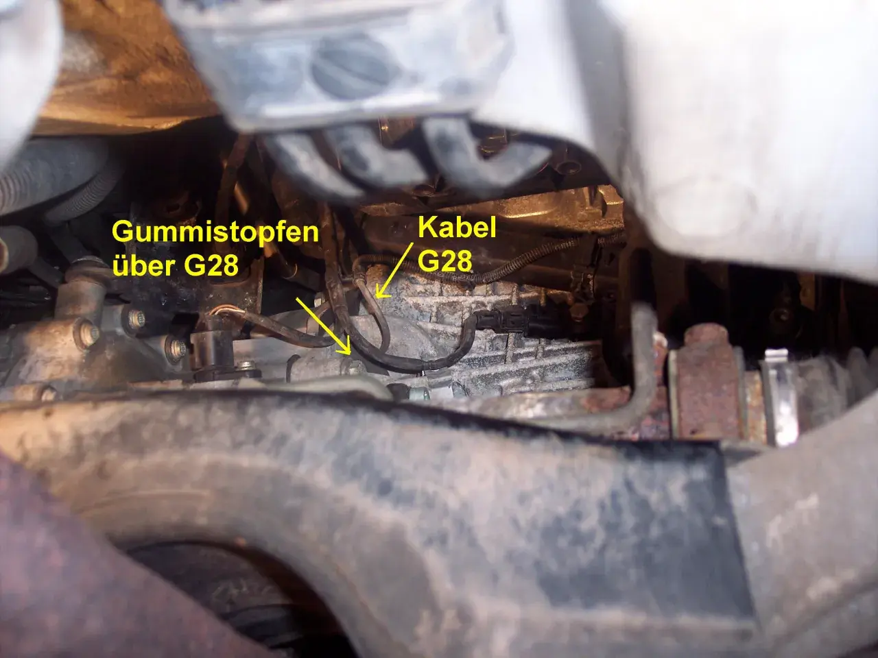Motorraum eines VW: Gummistopfen über G28 und Kabel G28.