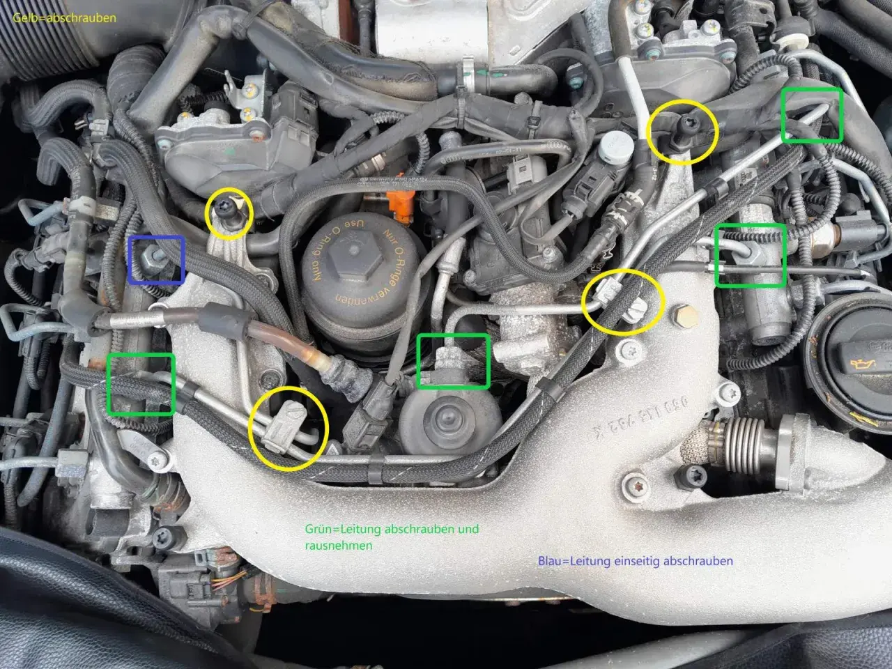 Motorraum mit markierten Schrauben und Leitungen, die für den Ausbau des AGR-Ventils relevant sind.