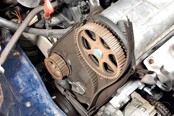 Motorraum eines Peugeot 206 mit freiliegendem Zahnriemen und Zahnrädern, bereit für den Zahnriemenwechsel.